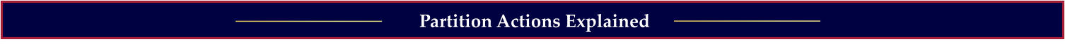 Partition Actions Explained